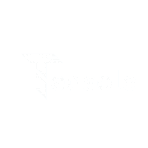 Teqsole Logo